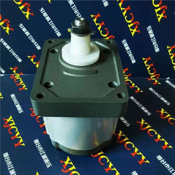 Fiat Tractor Pump 569307 5120971