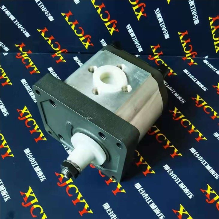 Massey Ferguson Hydraulic Gear Pump